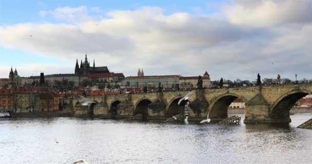 Charles Bridge Old Town Prague — Stockvideo