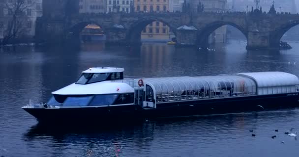 Charles Bridge Old Town Prague — Stock Video