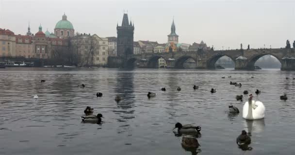 Charles Bridge Old Town Prague — Stockvideo