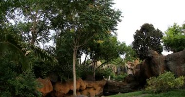 Bahar yatay, şelale