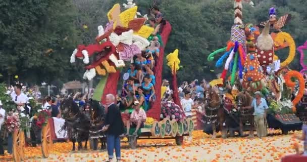 Καρναβάλι Μάχη Των Λουλουδιών Μάχη Flores Batalla Flores Ισπανικά Καλοκαίρι — Αρχείο Βίντεο