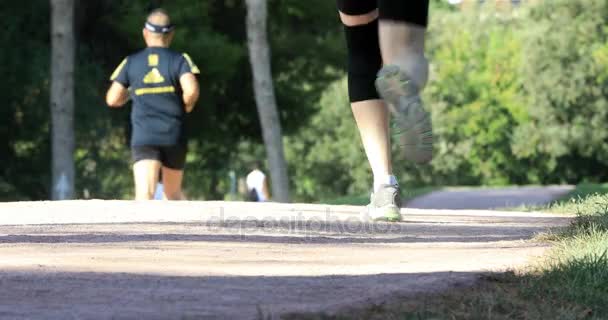 Persone Che Corrono Sul Parco — Video Stock