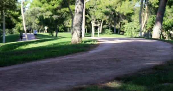 Time Lapse Persone Che Corrono Sul Parco — Video Stock
