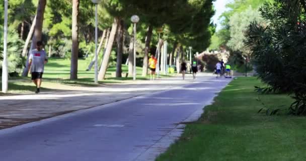 Seguimiento Shot Time Lapse Gente Montando Bicicleta Trotando Valencia España — Vídeo de stock