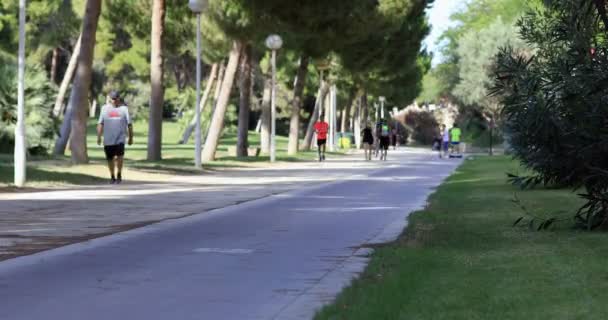 Tijd Lapse Mensen Fietsten Joggen Valencia Spanje — Stockvideo