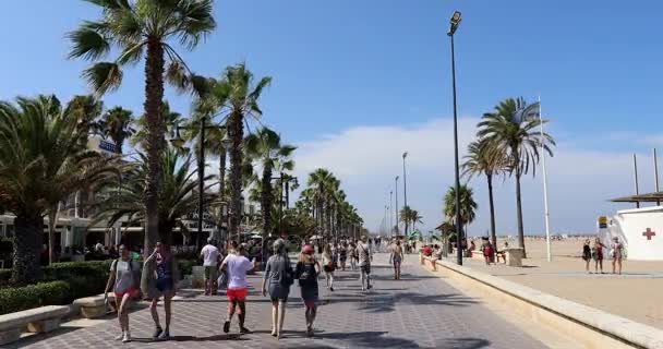 Time Lapse People Walking Beach Bay Valencia Spain July 28Th — Stock Video