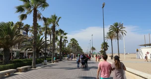 People Walking the Beach Bay — Stock Video