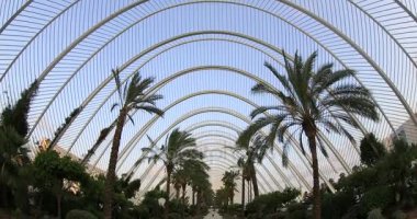 Valencia Bilim Müzesi