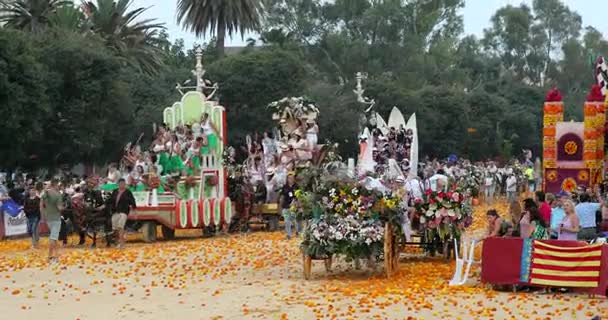 Batalla de las flores 9 — Vídeo de stock