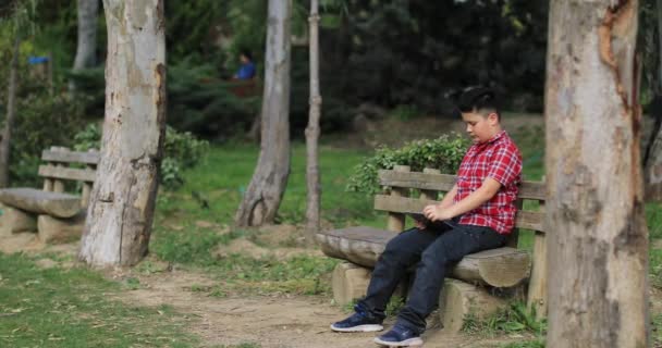 Retrato de um adolescente com computador tablet digitalna natureza — Vídeo de Stock
