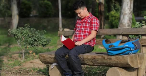 Χαριτωμένο παιδί του σχολείου με το βιβλίο στην άνοιξη φύση — Αρχείο Βίντεο