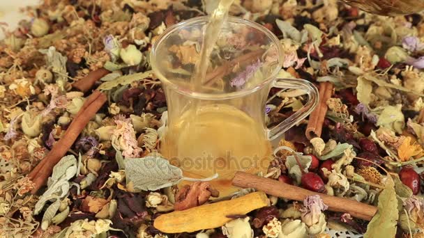 Šálek čaje s různými druhy léčivých bylin — Stock video