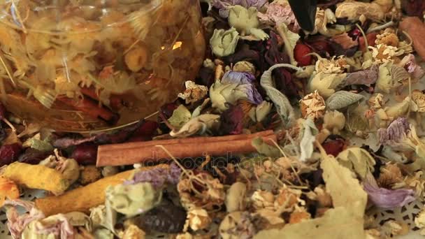 用草药治疗不同的茶壶 — 图库视频影像