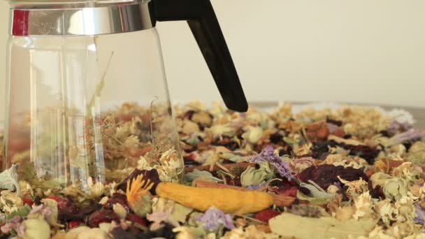 Teapot with different kind of healing herbs — Stock Video