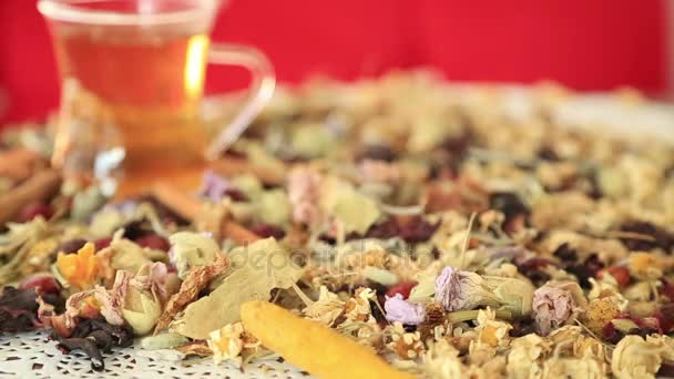 Tea, különböző fajta gyógyító gyógynövények — Stock videók