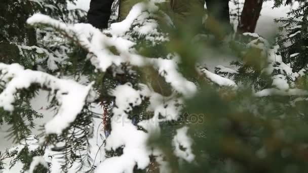 Retrato de inverno de garoto se divertindo com neve — Vídeo de Stock
