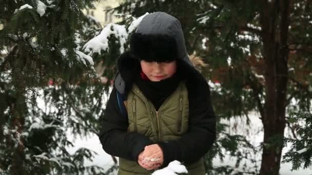 Winterporträt Eines Gutaussehenden Jungen Warmen Kleidern Der Freien Spielt Und — Stockvideo