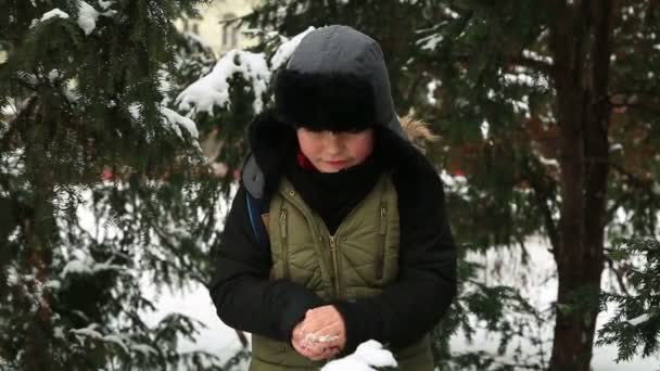 Зимний Портрет Красивого Мальчика Теплой Одежде Играющего Свежем Воздухе Праздники — стоковое видео