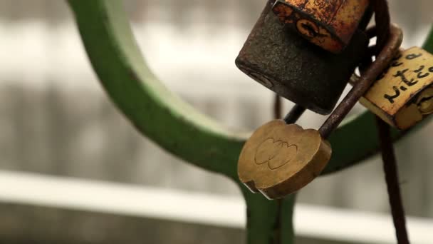 Blokady miłości na balustradzie mostu — Wideo stockowe