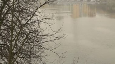 Kışın kar ile kaplı Prag görünümü