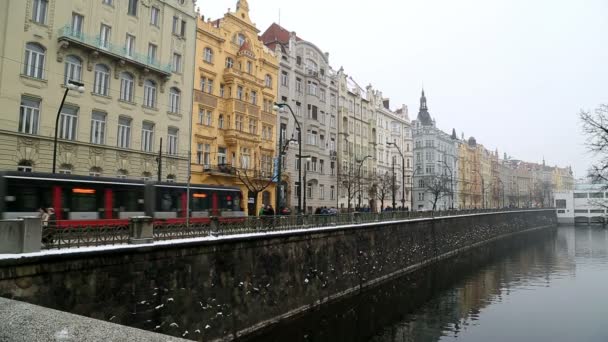 Барвисті Houeses Masarykovo Nabrezi Міста Трафіку Старого Міста Праги Чехія — стокове відео