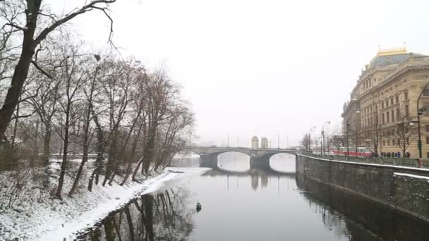 Blick Auf Die Legionsbrücke Und Die Gebäude Entlang Der Moldau — Stockvideo