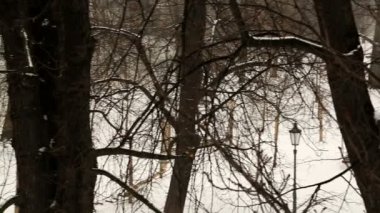 Nehirli kış manzarası