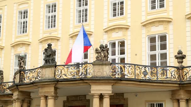 Flagi narodowe Czechy — Wideo stockowe