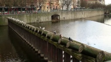 2 Prag'da Vltava Nehri