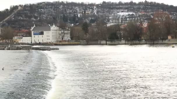 Río Moldava en Praga — Vídeos de Stock