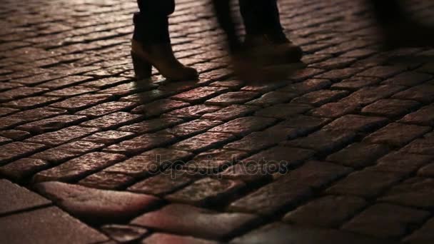 Shadows of people walking in a cobblestone street 5 — Stock Footage Shadows of people walking in a cobblestone street 5 Video Clip