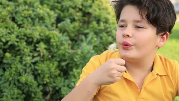 Niño soplando lejos flor de diente de león en primavera — Vídeo de stock