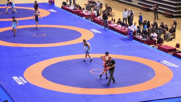 Campeonato Mundial de Wrestling United 13 — Vídeo de Stock