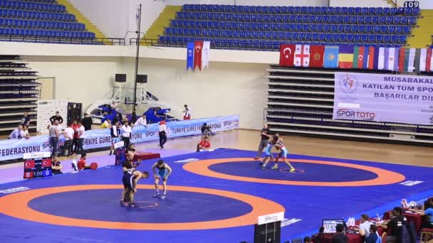 Campeonato de Wrestling 11 — Vídeo de Stock