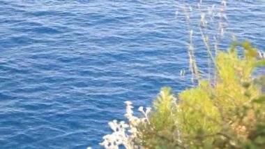 Gün batımında ile deniz çimen