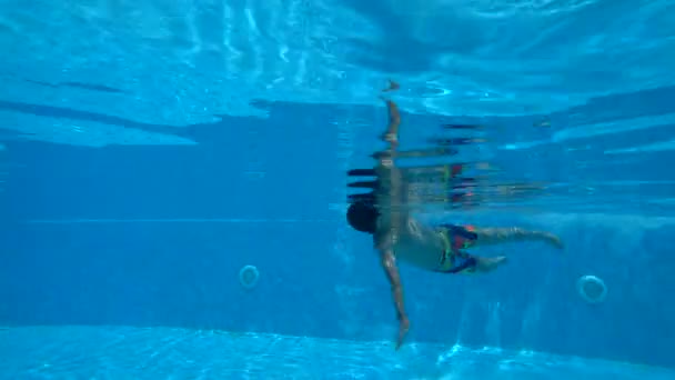 Unga simmare simning freestyle — Stockvideo