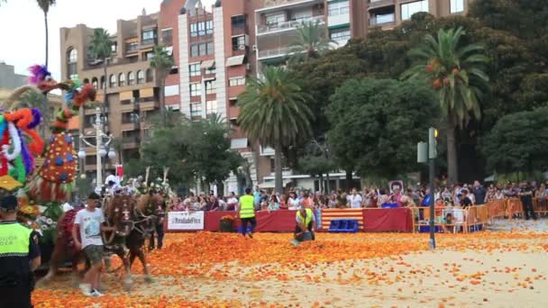 Batalla de flores — Stockvideo