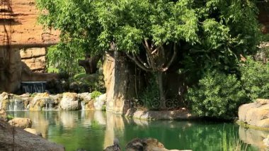 Bir görünümü güzel yeşil manzara 3