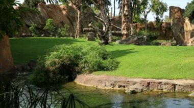 Bir görünümü güzel yeşil peyzaj