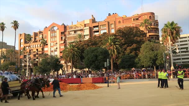 Batalha de Flores é feira de celebração 6 — Vídeo de Stock