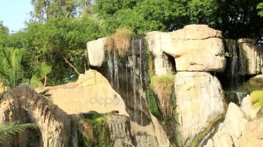 Su ile güzel yeşil manzara