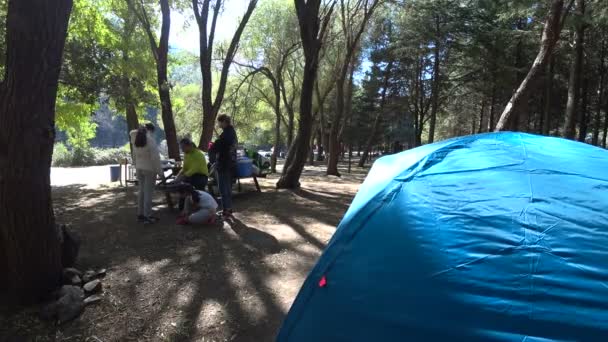 Tenda per famiglie nella foresta autunnale 7 — Video Stock