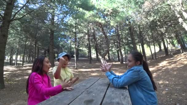 Niños divirtiéndose en el parque 2 — Vídeo de stock