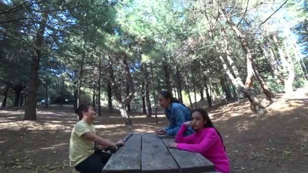 Kinder vergnügen sich im Park 5 — Stockvideo