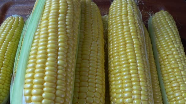 Свіжа кукурудза на ядрах кору 4 — стокове відео