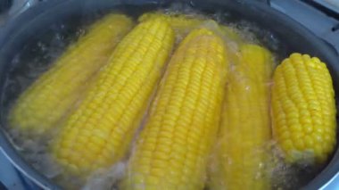 Bir tencerede kaynar Mısır