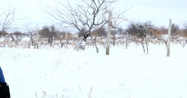 Criança desfrutando de férias de inverno 2 — Vídeo de Stock