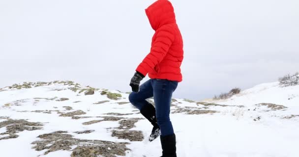 Porträt eines glücklichen Winterjungen 3 — Stockvideo