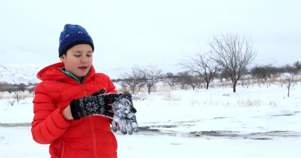 Портрет счастливого зимнего мальчика 5 — стоковое видео