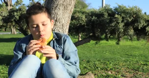 Мальчик ест круассан на открытом воздухе 3 — стоковое видео